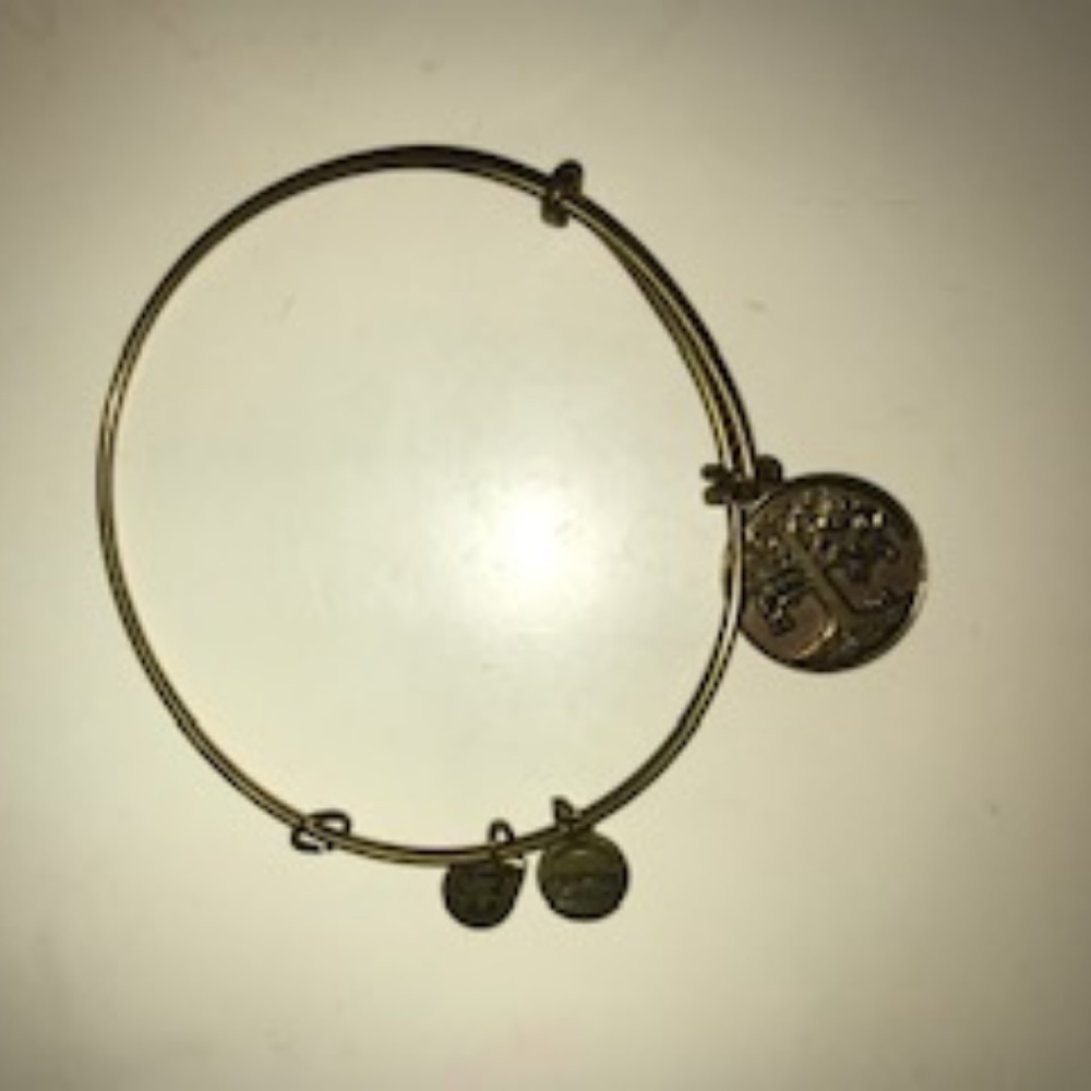 Alex and Ani bracelet